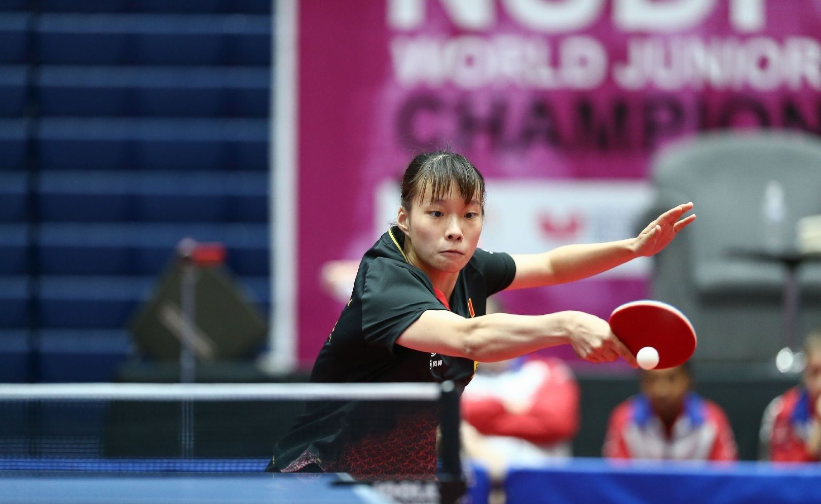 然而近年来 然而近年来